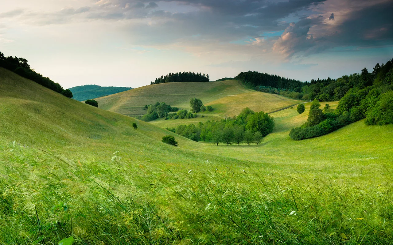 Paysage de collines verdoyantes et apaisantes